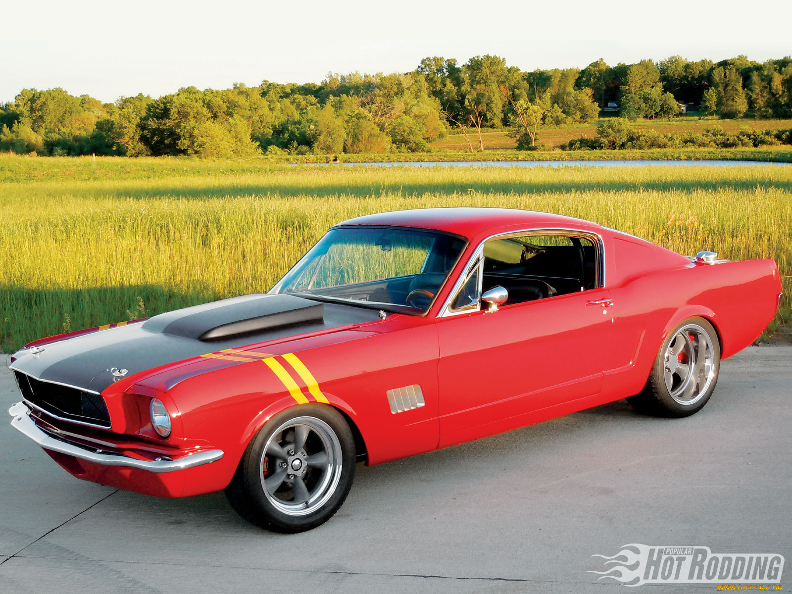 1965, ford, mustang, fastback, 